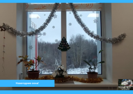 Новогодние окна!